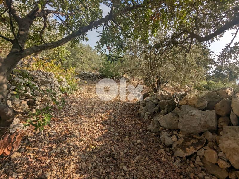 Land for sale in Jeddayel-Jbeil with open sea view- أرض للبيع في جدايل 0