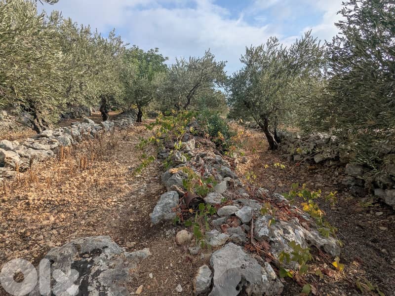 Land for sale in Jeddayel-Jbeil with open sea view- أرض للبيع في جدايل 2
