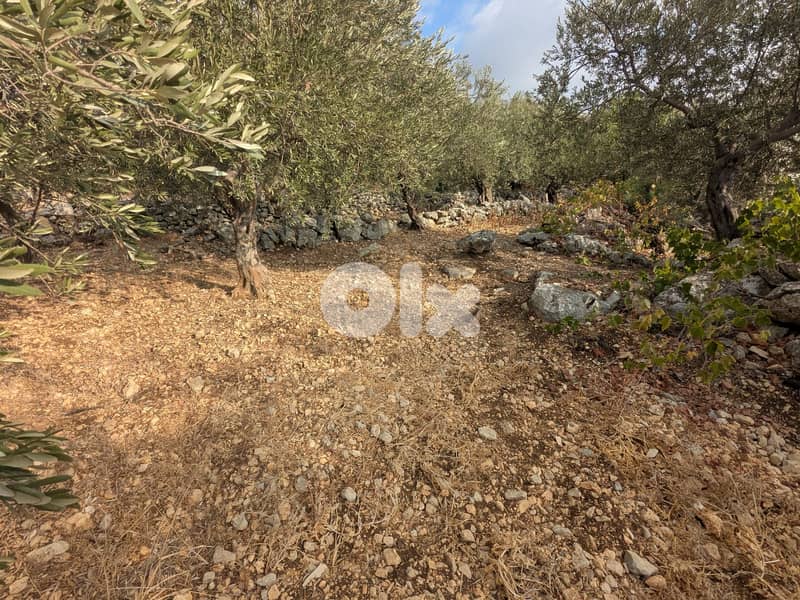 Land for sale in Jeddayel-Jbeil with open sea view- أرض للبيع في جدايل 3