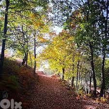 LAND For SALE in FAQRA AHLAM Village with MOUNTAINS View أرض في فقرا 3