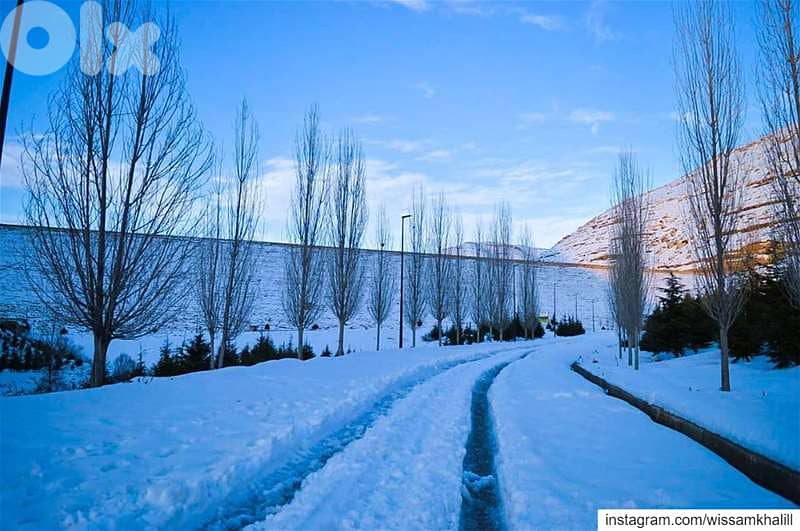 LAND For Salein CHABROUH with SEA View  أرض في شبروح 6