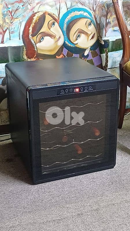 براد للنبيذ اوروبي 3