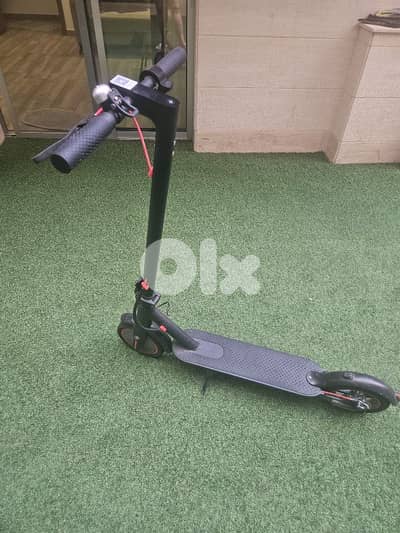 electric scooter