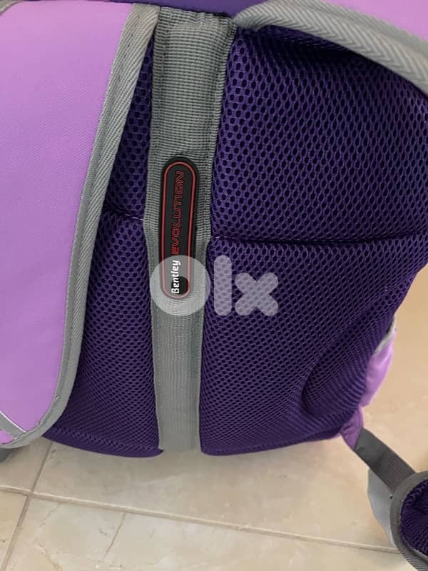 special and original bag  Bentley 3