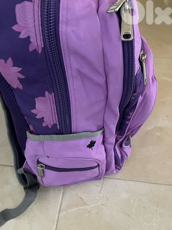 special and original bag  Bentley 5