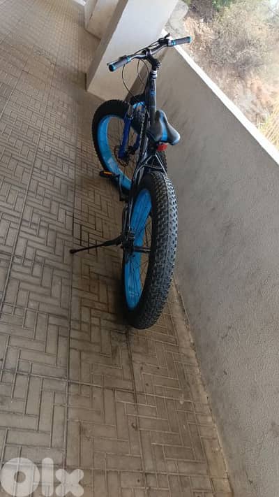 smarter Fat bike