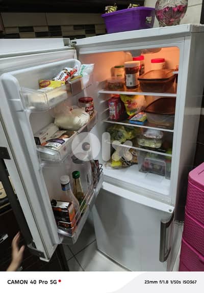براد نضيف بيصرف 0.3