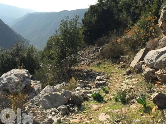 LAND For SALE in SAN STEPHANO أرض في كفردبيان 5