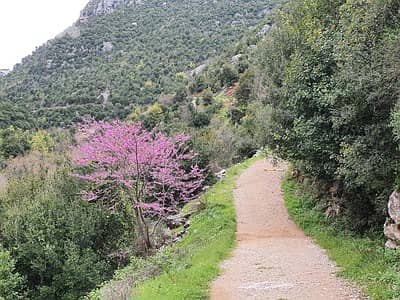 LAND For SALE in SAN STEPHANO أرض في كفردبيان 7