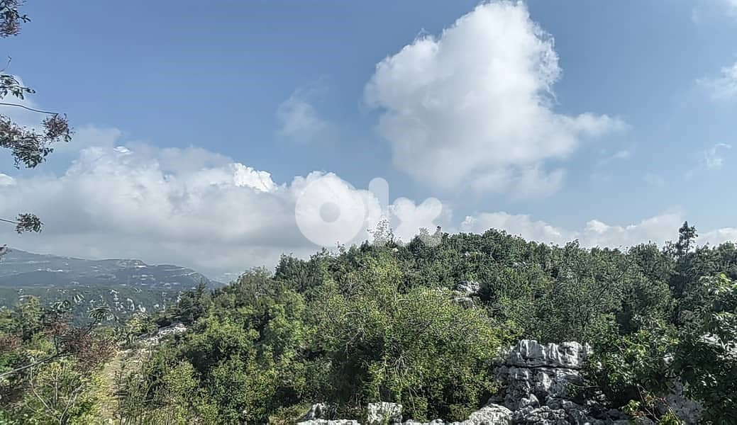 PRIME LAND in KLAYAAT wit OPEN Viewأرض في قليعات ١٢٠٠ م٢ 1