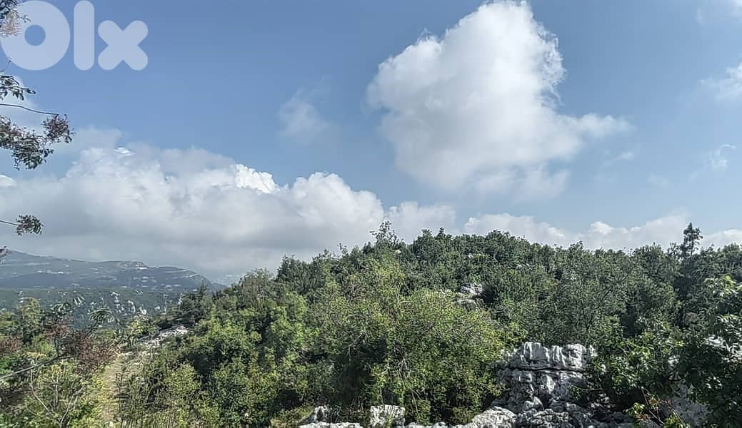 PRIME LAND in KLAYAAT wit OPEN Viewأرض في قليعات ١٢٠٠ م٢ 6