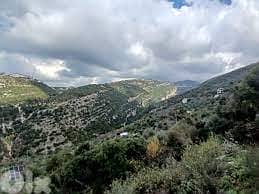 AMAZING LAND in JEITA with Viewأرض في جعيتا ١٣٠٠ م٢ 2