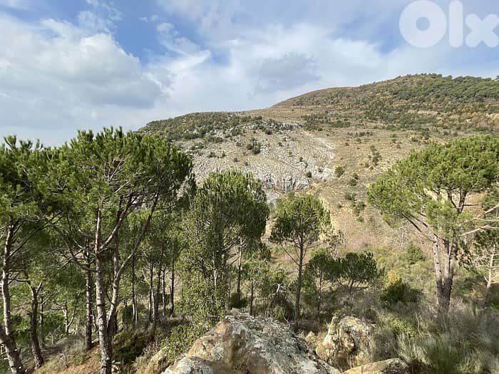 HOT DEAL LAND in KFARDEBIAN with Viewأرض في كفردبيان ١٠٠٠ م٢ 3