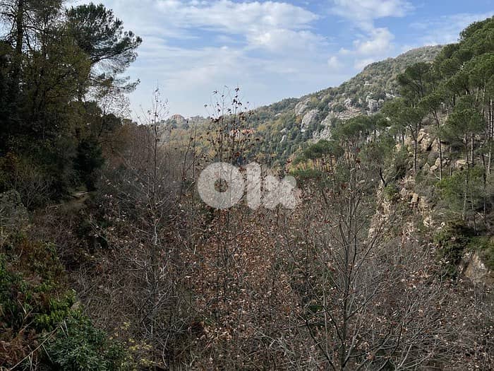 HOT DEAL LAND in KFARDEBIAN with Viewأرض في كفردبيان ١٠٠٠ م٢ 4