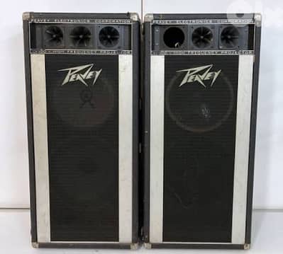 peavey ampli system reverb mic