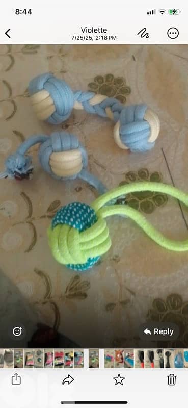 ألعاب واكسسوارات للكلاب 1