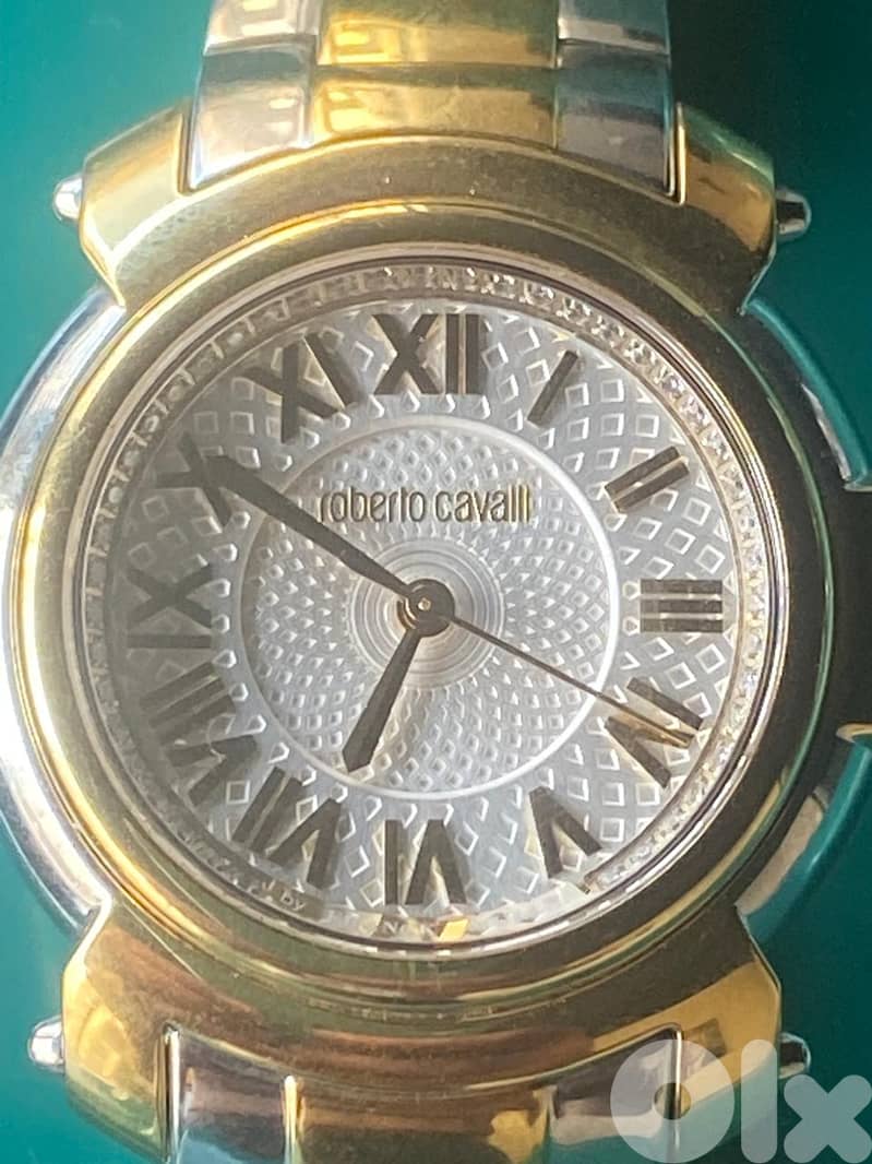 Roberto Cavalli by Frank Muller 0