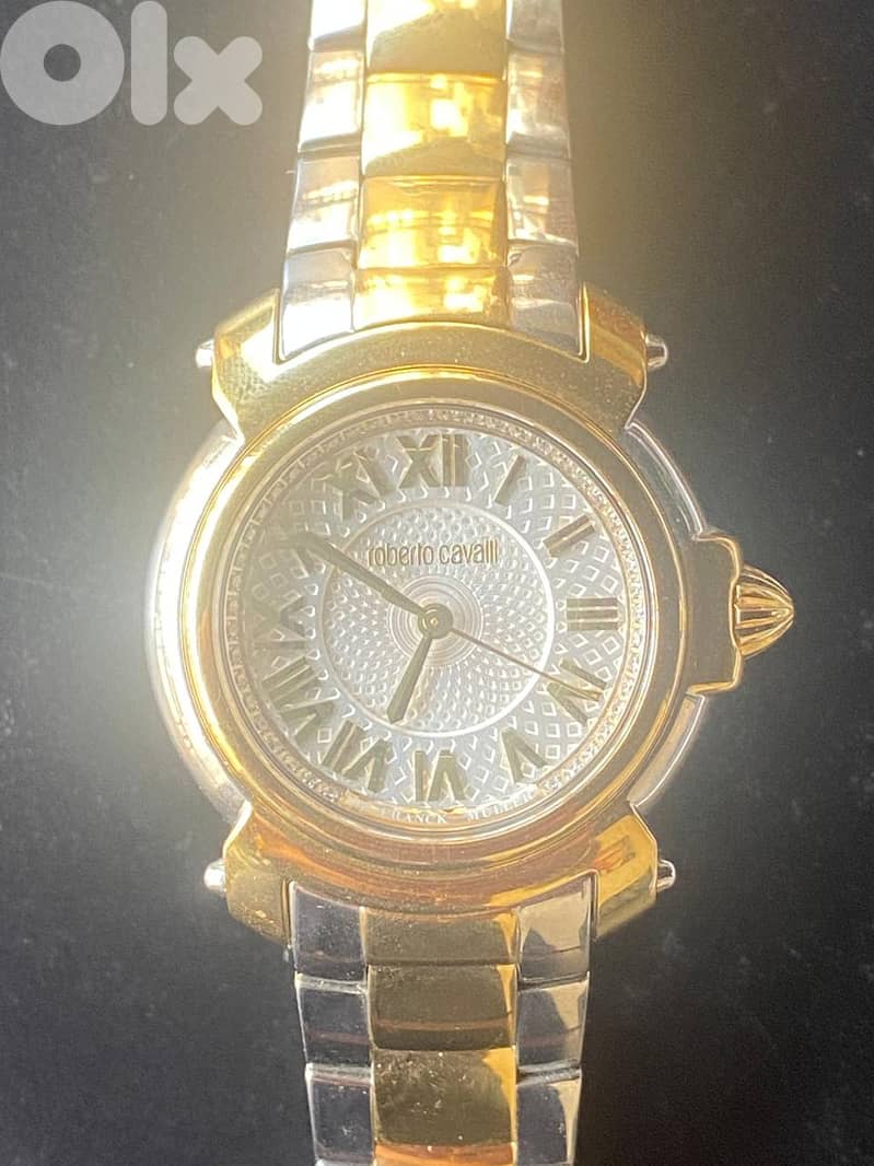 Roberto Cavalli by Frank Muller 3