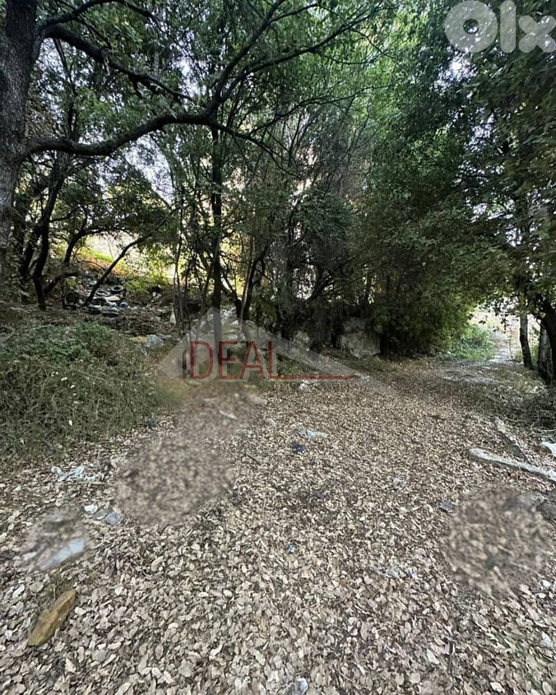 Land for sale in Batloun Chouf عقار للبيع في بتلون الشوف 3