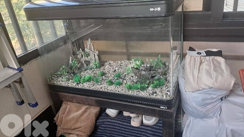 aquarium 80cm like new 0