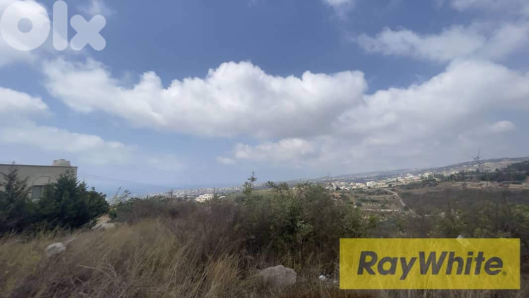 RWB293CA - Land for sale in Mehrine Jbeil 6