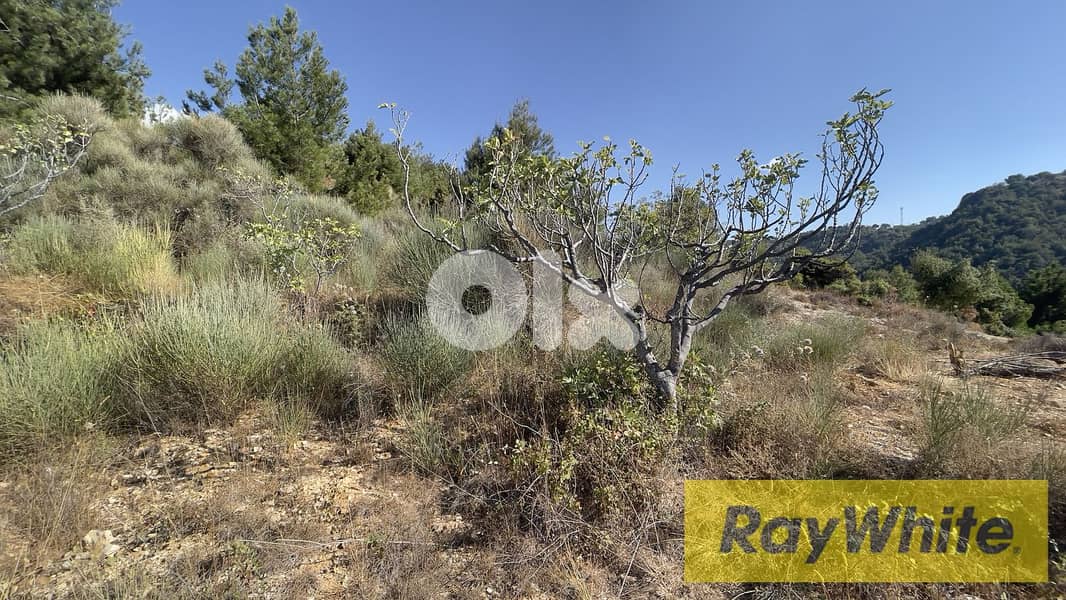 RWB294CA - Land for sale in Hadtoun Batroun 1