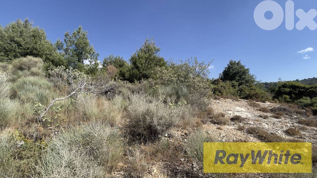 RWB294CA - Land for sale in Hadtoun Batroun 8