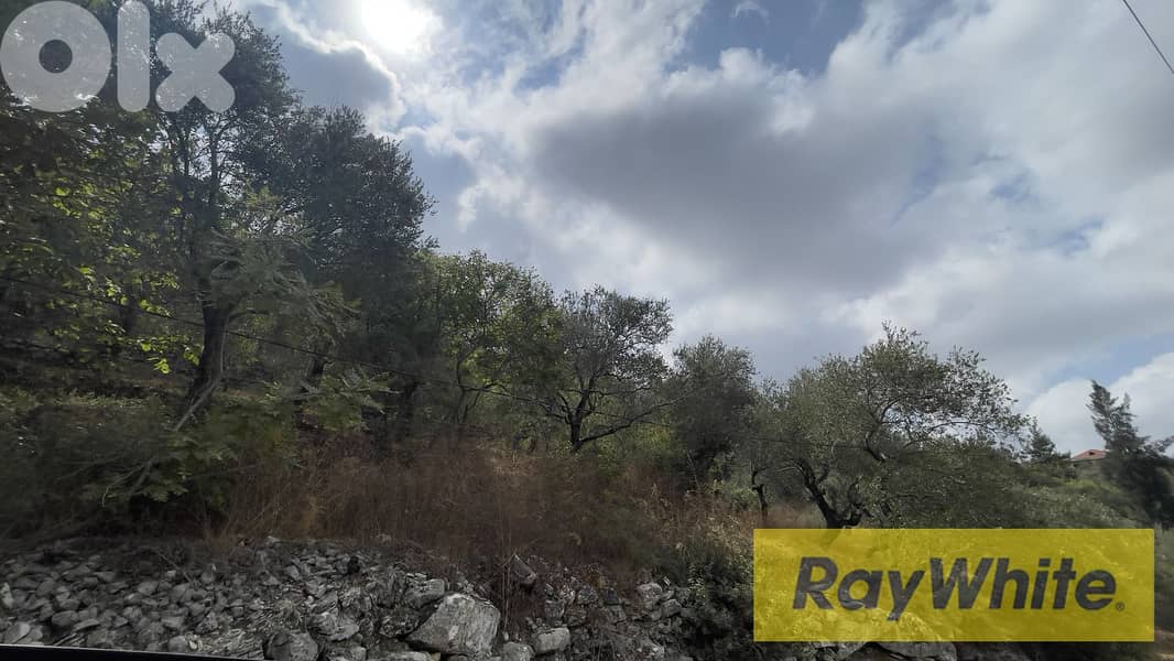 RWB297CA - Land for sale in Chamat Jbeil 0
