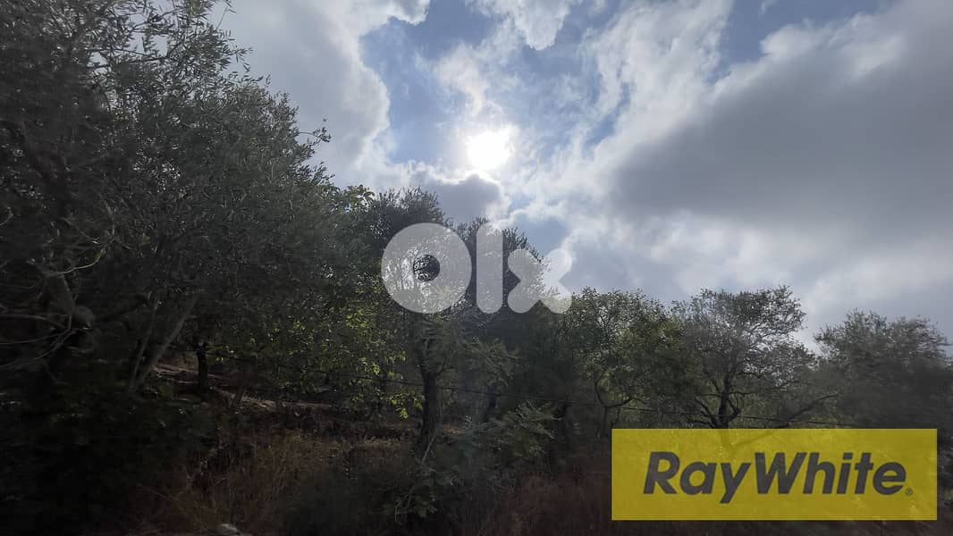 RWB297CA - Land for sale in Chamat Jbeil 1