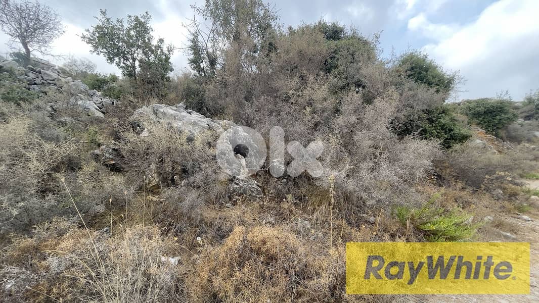 RWB298CA - Land for sale in Kherbeh Jbeil 1