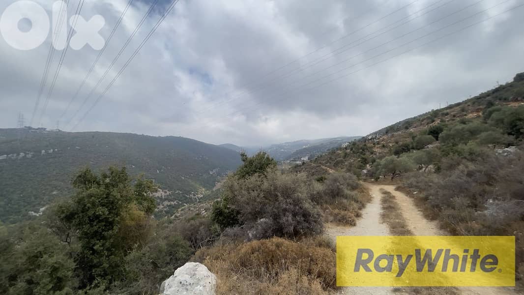 RWB298CA - Land for sale in Kherbeh Jbeil 2