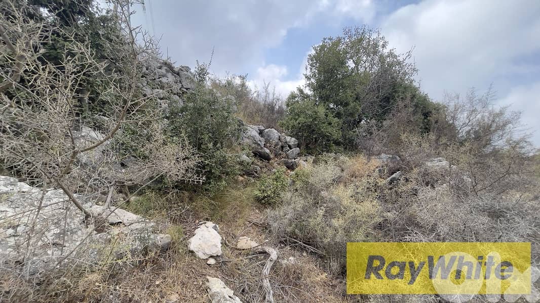 RWB298CA - Land for sale in Kherbeh Jbeil 3