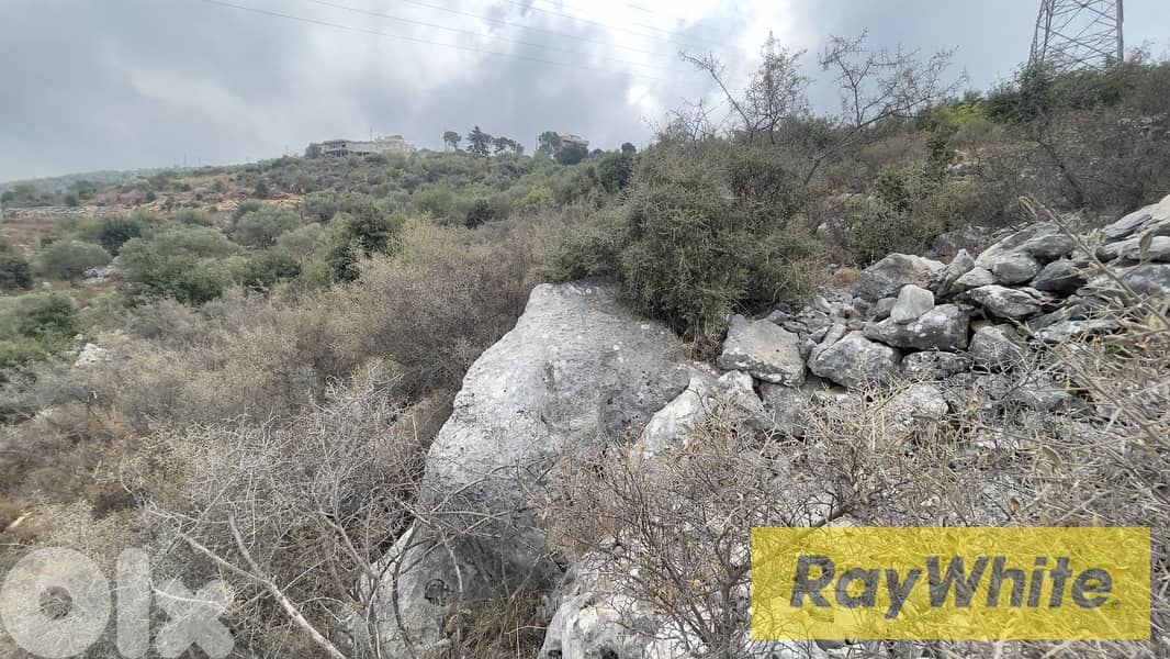 RWB298CA - Land for sale in Kherbeh Jbeil 5