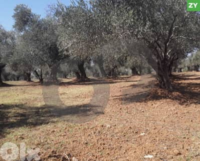 Exceptional Investment Opportunity,Mazraat Ejbeh, Zgharta REF#ZY126418