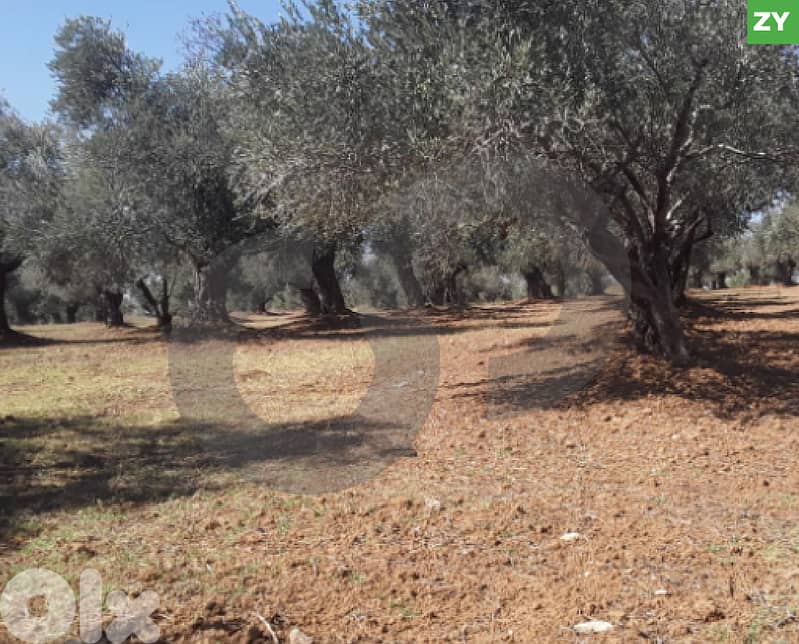 Exceptional Investment Opportunity,Mazraat Ejbeh, Zgharta REF#ZY126418 0