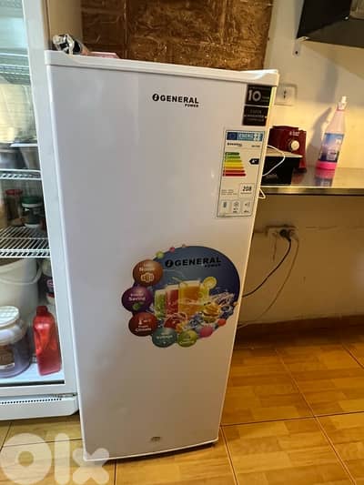 General inverter freezer