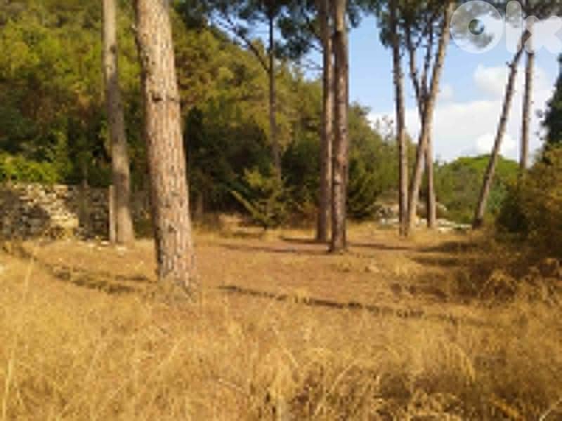 1640 Sqm Land For Sale In Jouret El Ballout ارض للبيع في جورة البلوط 0
