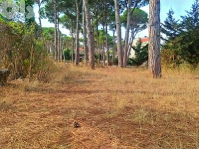 1640 Sqm Land For Sale In Jouret El Ballout ارض للبيع في جورة البلوط 1