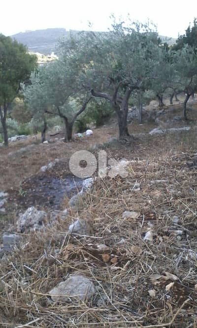 Land for sale in Sourat-Batroun