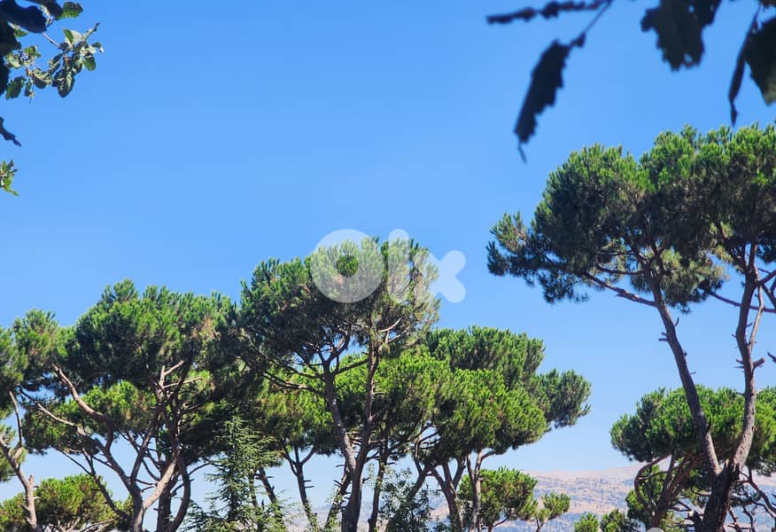 790 SQM Land in Bolonia, Metn Overlooking the Mountains 0