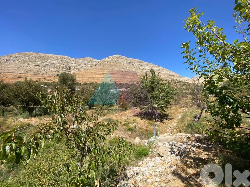 2350 m2 Prime Land+mountain view 4sale in Faraya - أرض للبيع في فاريا 0