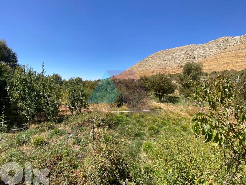 2350 m2 Prime Land+mountain view 4sale in Faraya - أرض للبيع في فاريا 3