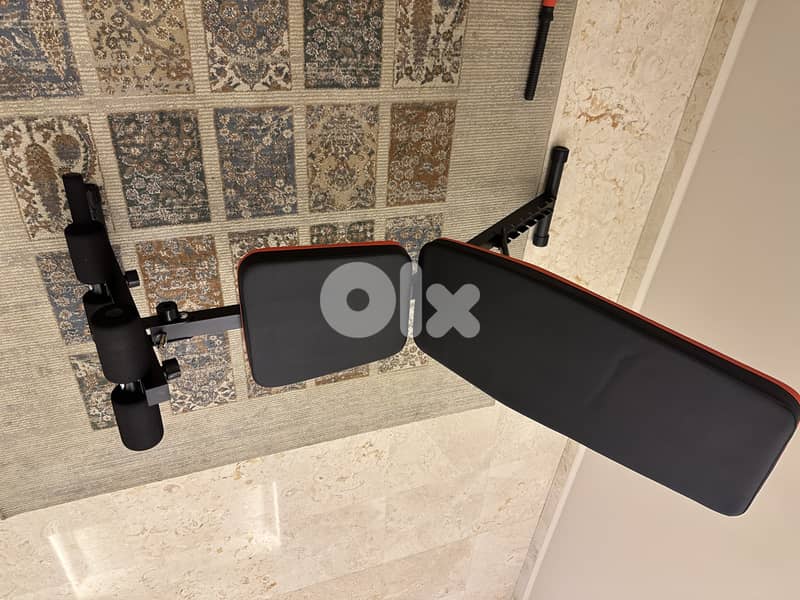 new dumbbells and bench 2