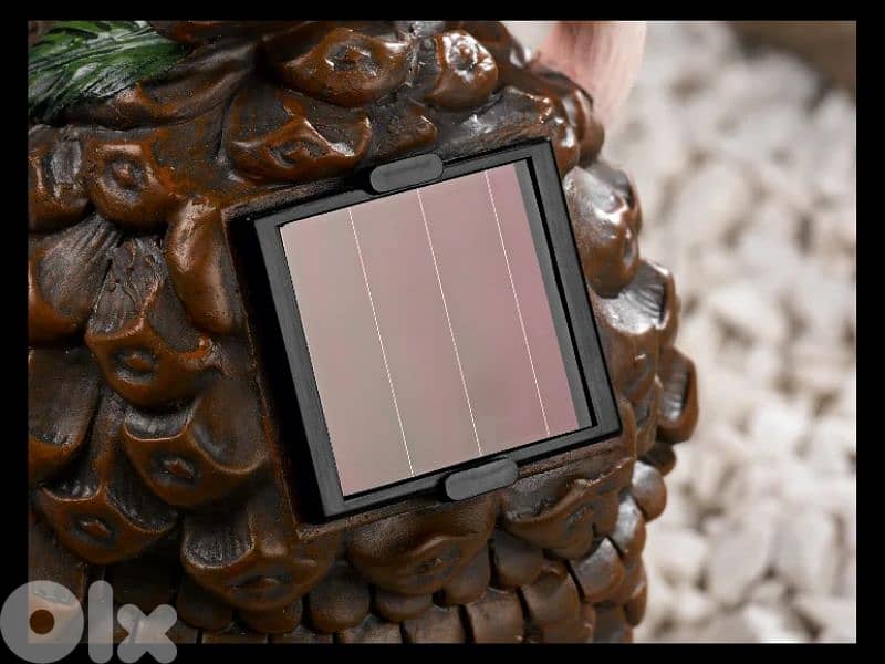 livarno home decorative solar light 2