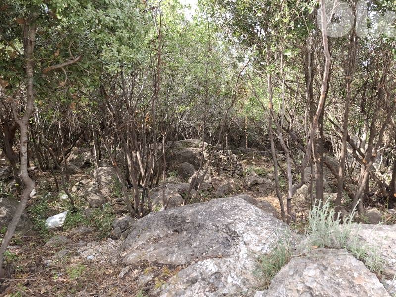 4500m2 Land in Hrajel,keserwan 0