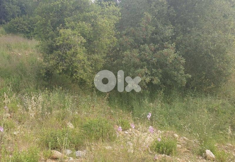 1280m2 Land in Bayada,cornet chehwan 0