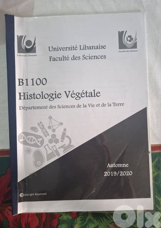 Lebanese university faculty of Science, 1ère année bio, 1er semestre 4