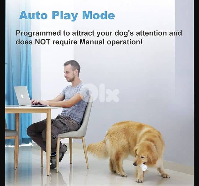 Wickedbone Smart Bone, Automatic & Interactive Toy for Dog/4$ delivery 4