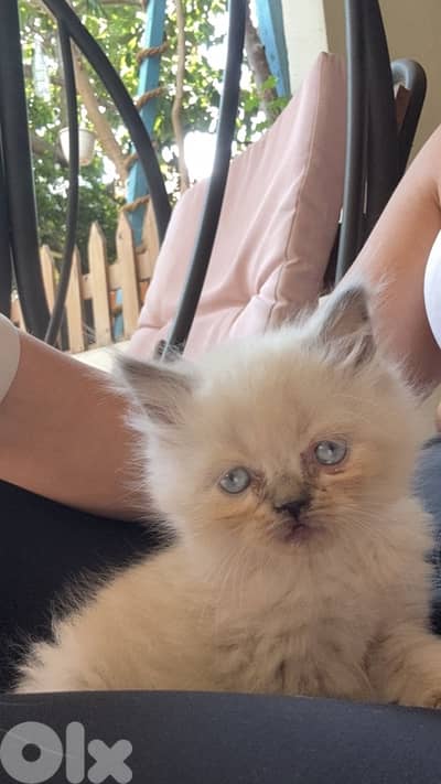 so cute and kind