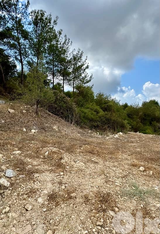 1200m² Land For Sale In jrane-Batroun أرض للبيع في البترون 2